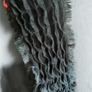 Elegant Black Fringe Scarf